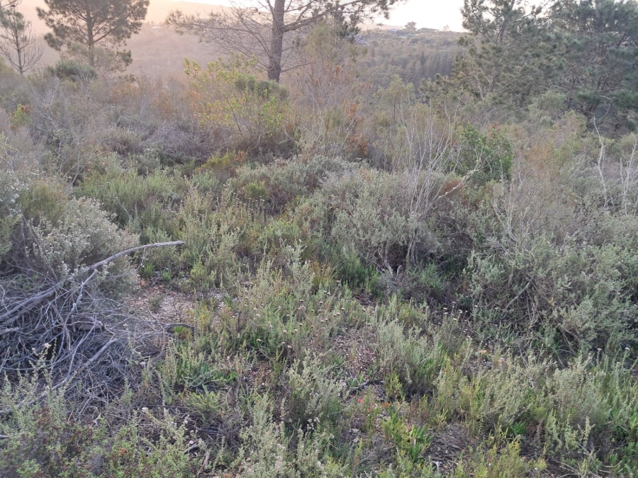  Bedroom Property for Sale in Grootbrakhoogte Western Cape